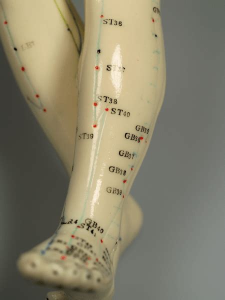 Acupuncture Points Chart Legs