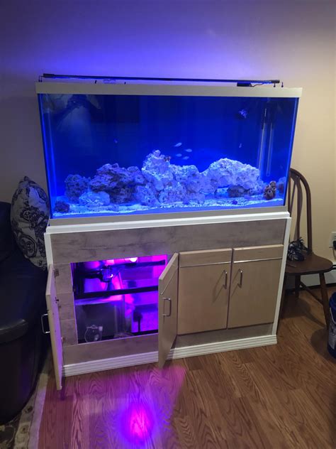 Got This 90 Gallon Tank Off Craigslist For 20 Made It Purty And Set