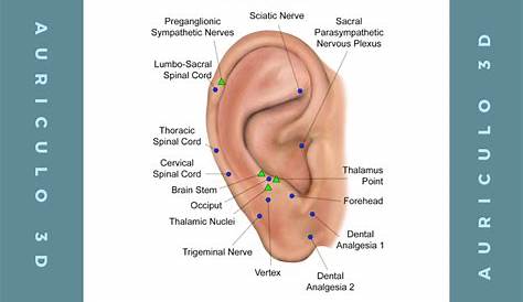 ear piercing pain chart industrial