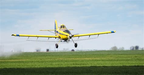 The asian gypsy moth (agm, including lymantria dispar asiatica, lymantria dispar japonica, lymantria albescens, lymantria umbrosa, lymantria postalba) is a destructive forest pest known to. Gypsy Moth Aerial Spraying Set To Begin | Recent News ...