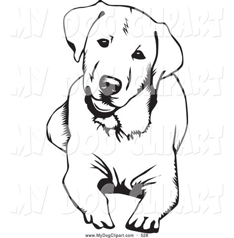 Clip Art Of A Cute And Curious Labrador Retriever Dog