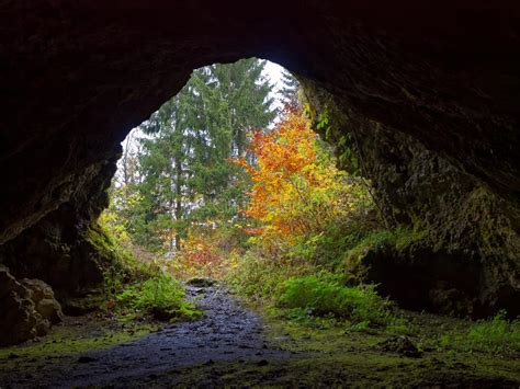 Arched Cave View To Fall Forest Stock Image Image Of Outwards Rock