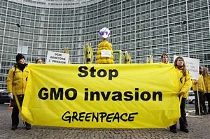 Image result for campaign against (GMOs)