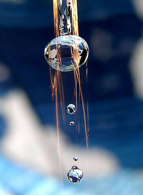Free Picture Photographydownload Portrait Gallery Water Drops