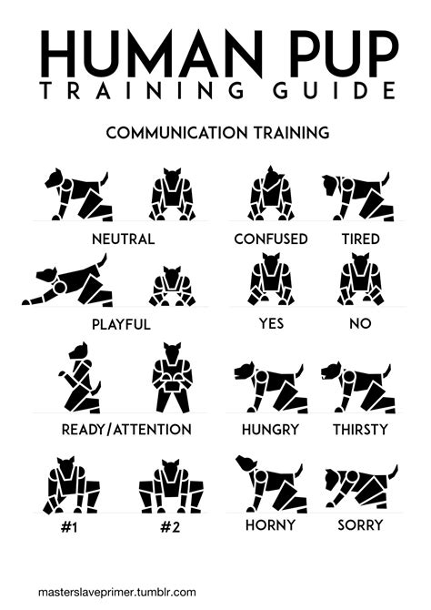 Illustrated Guide Human Pup Positions