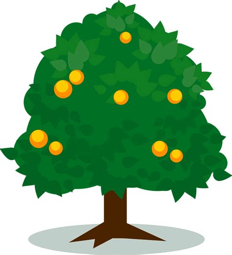 Tree With Oranges Clipart Free Download Transparent Png Creazilla