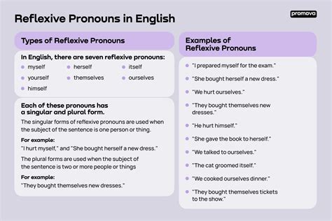 Reflexive Pronouns Promova Grammar