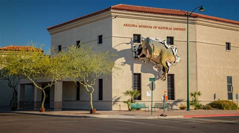 Visita Museo De Historia Natural De Arizona En Phoenix Tours