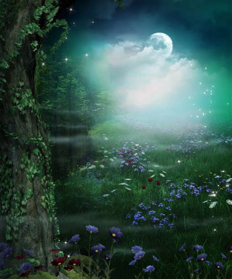 Fantasy Forest Stock Photos Pictures And Royalty Free Images Istock