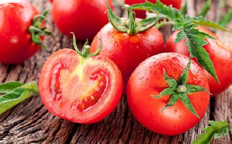 Cara menghilangkan jerawat dengan cara alami dengan konsisten melakukan hal simpel, dijamin cepat dan efektif. cara-hilangkan-jerawat-pasir-menggunakan-tomat - Muda PLUS ...