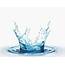 Crown Splash Water Liquid 3D  CGTrader