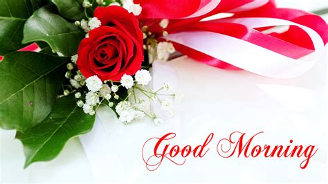 White rose good morning flowers. Good Morning Wallpaper with Flowers, Full HD 1920x1080 GM ...