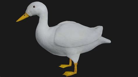 Duck 3d Model Rigged And Low Poly Game Ready