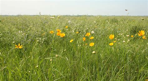 Anderson County Prairies | The Nature Conservancy in Kansas
