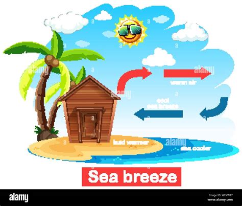 Diagram Showing Circulation Of Sea Breeze Illustration Stock Vector