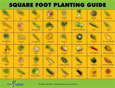 Grow 3 plants per person. Square foot vegetable chart, how many to plant per square ...