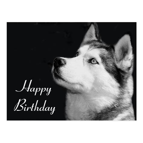 Happy Birthday Siberian Husky Puppy Dog Post Card