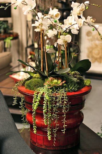 Flower arrangement, the art of flower arrangement is quite old. 71 best images about Orchids and succulents on Pinterest ...