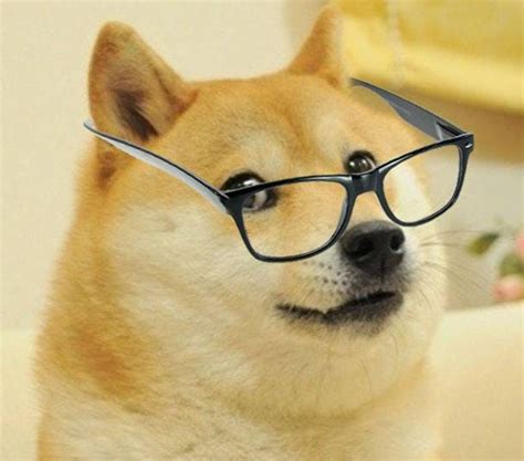 Doge Pfp See More Of Doge On Facebook Escolaitasampaio