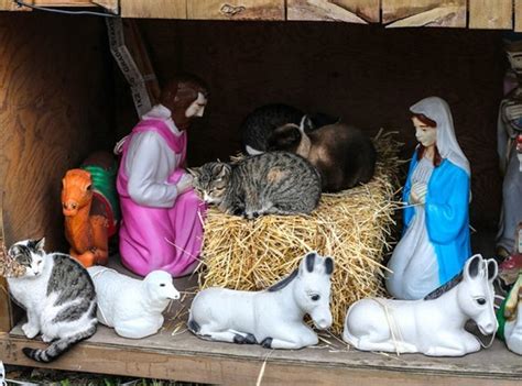 Strange Manger The Worlds Weirdest Nativity Scenes Weburbanist