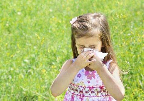How Spring Allergies May Hurt Your Ear Health Bay Area Audiology