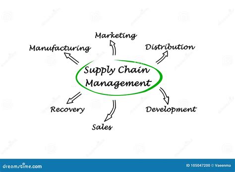 Supply Chain Management Illustration Stock Illustration Du Ventes