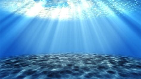 Premium Photo Sea Underwater Light Beautiful Veil Of Sunlight Ocean