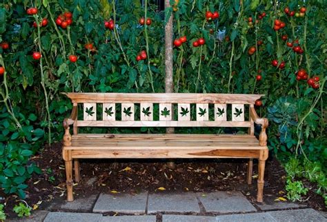 Maybe you would like to learn more about one of these? The Wooden bench on tomato garden background | Stock Photo ...