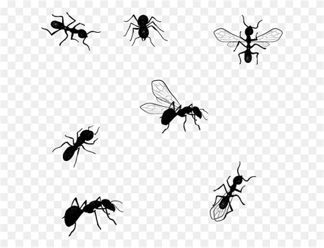 Jiminey Kricket Exterminating Ants Desenho Formiga Flying Bird