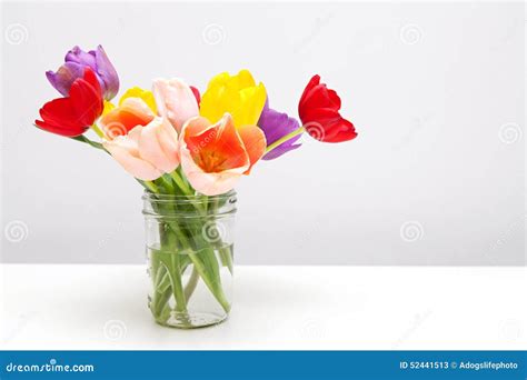Colorful Tulips In Mason Jar Stock Image Image Of Nature Mommy 52441513