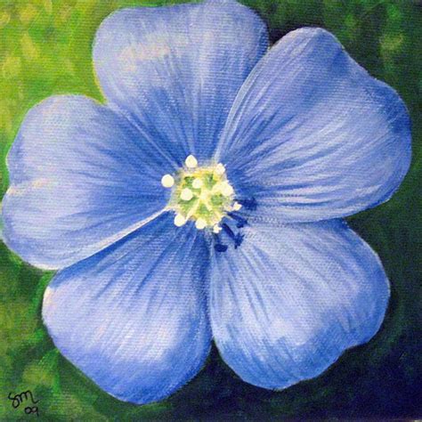 Blue Flower Painting By Sharon Marcella Marston Fine Art America