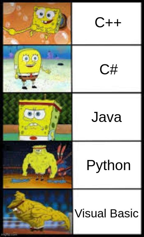 Different Programming Languages Be Like Imgflip