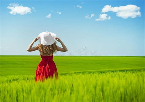 Beautiful Field And Clear Blue Sky Stock Photo Image Of