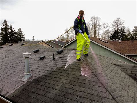 Soft Wash Roof Cleaning Brook Pressure Washing