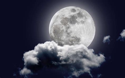 Aïe 35 Vérités Sur Révolte Sur La Lune Check Spelling Or Type A New