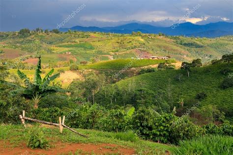 Paisajes Colombianos Montañas Verdes En Colombia América Latina