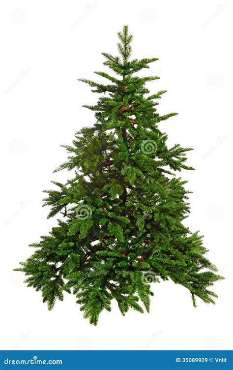 Naakte Kerstboom Stock Afbeelding Afbeelding Bestaande Uit Gift My Xxx Hot Girl