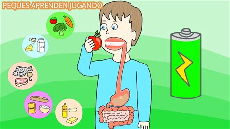 Aprender acerca 46 imagen dibujos de la ingestión Thptletrongtan edu vn