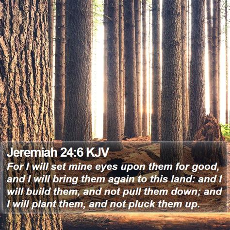 Jeremiah 246 Kjv For I Will Set Mine Eyes Upon Them For Good And