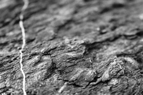 Grey Rock Texture With White Veins Free Stock Photo Public Domain