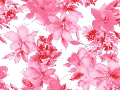 awesome wallpaper flower pink background images pictures