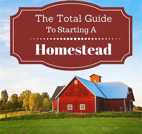 The Total Guide To Starting A Homestead