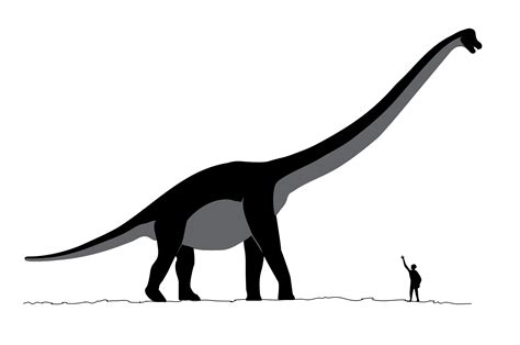 This Week In Dinosaur News Sauropods Springy Bones T Rex Cannibalism