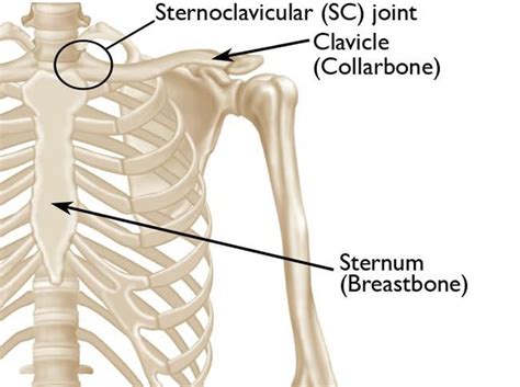 Ache in head, neck, tooth, shoulder, knee, chest, abdomen, wrist, back, elbow, ankle. Rapid injury analysis: Making sense of Tyreek Hill's SC ...