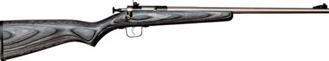 Crickett Rifle G2 22lr S S Black Laminate All Pro Guns And Ammo