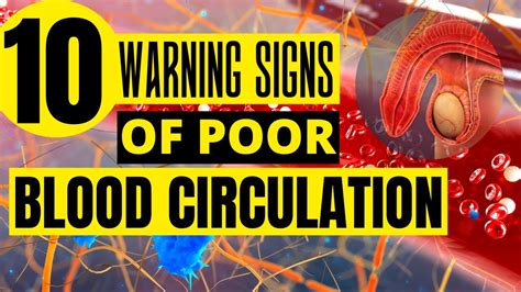 10 Warning Signs Of Poor Blood Circulation Youtube