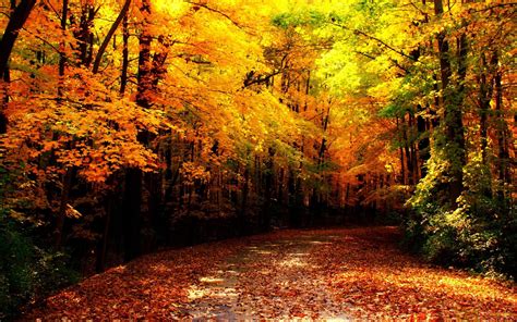 Wisconsin Autumn Scenery Hd Wallpaper Preview