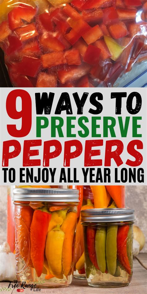 Preserving Peppers 9 Ways To Preserve Peppers At Home Stuffed Sweet