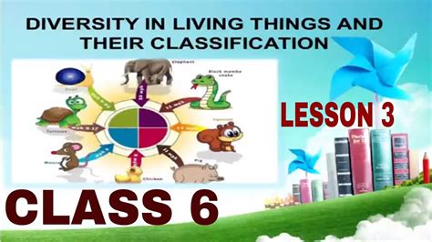 Diversity In Living Things And Their Classification 6th Std Biology