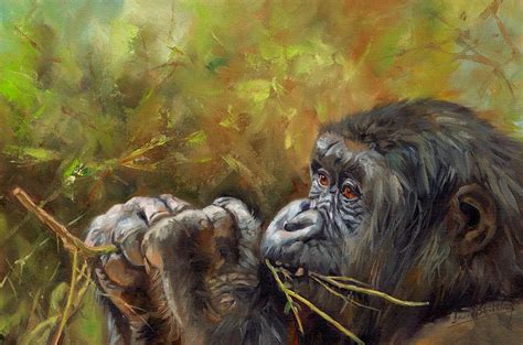 Lowland Gorilla 2 David Stribbling Gorillas Art Animal Paintings